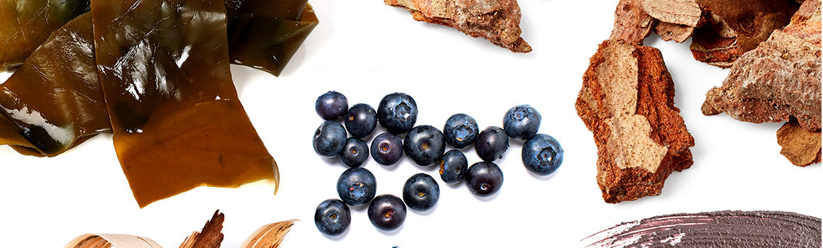 En-tête-nordora_1160x370px