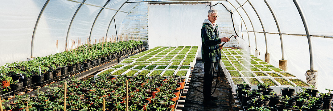 man waters the plants