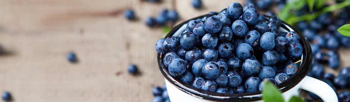 Blueberries: berry delicious - Rachelle Béry