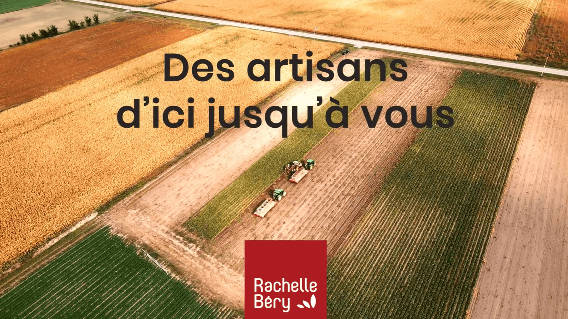 Les algues - Rachelle Béry