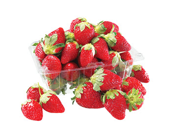 les-fraises-du-quebec
