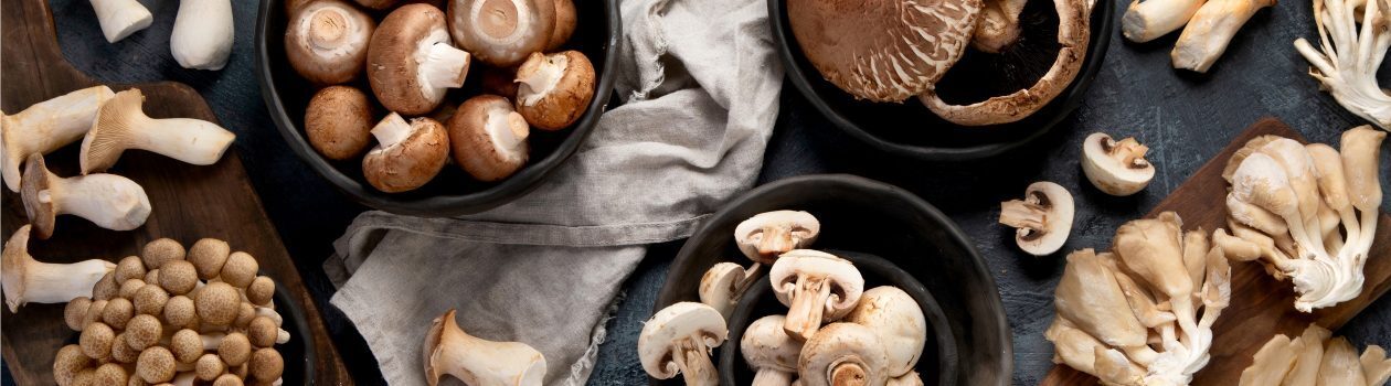 La ruée vers les champignons du Québec