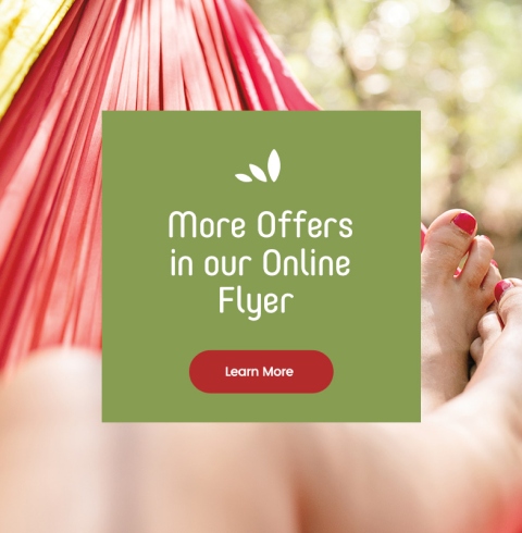 Text reading, “More offers in our online flyer. Check them with the ‘Learn More’ button.”