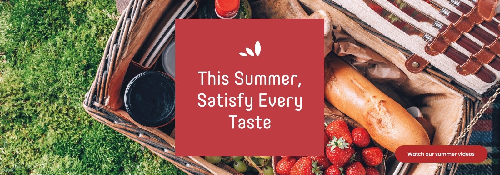 Text reading, “This summer, satisfy every taste. To know more click on the ‘Watch our summer videos’ button.”
