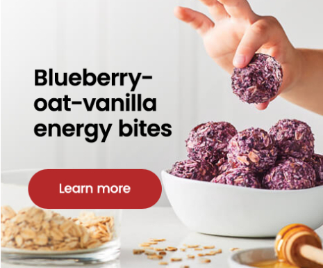 Blueberry oat vanilla energy bites