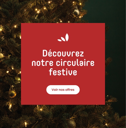 Découvrez notre circulaire festive