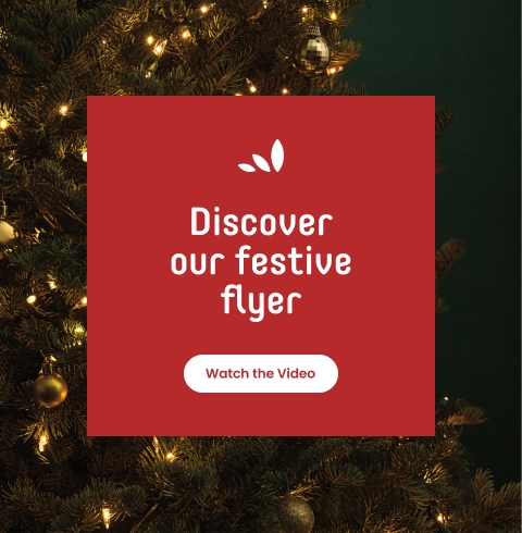 Discover our festive flyer