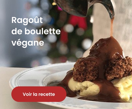 Ragout d boulette vegane