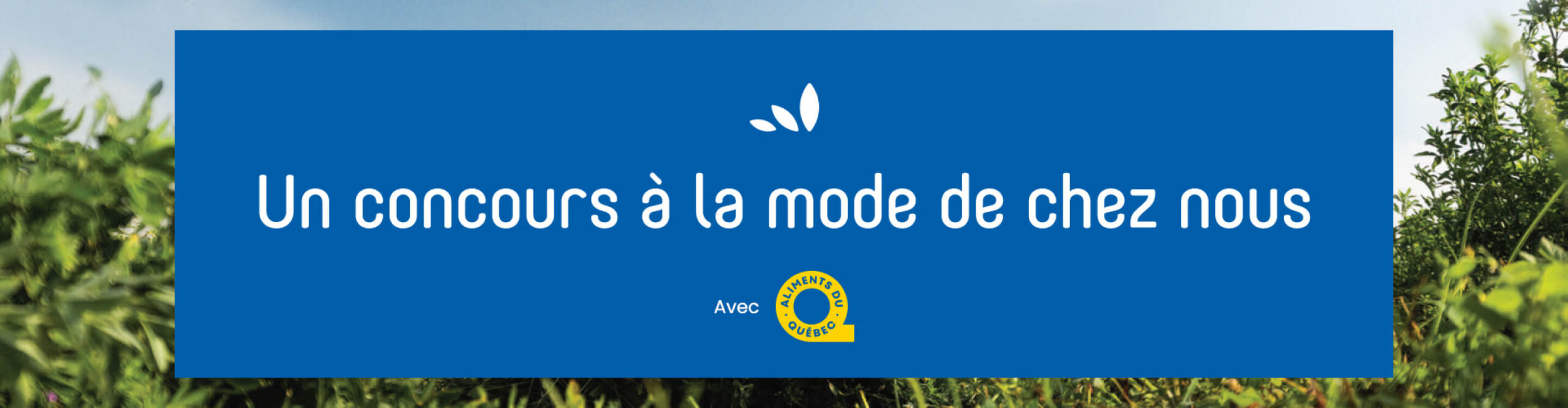 rachelle-bery-concours-adq-entete Rachelle bery concours adq