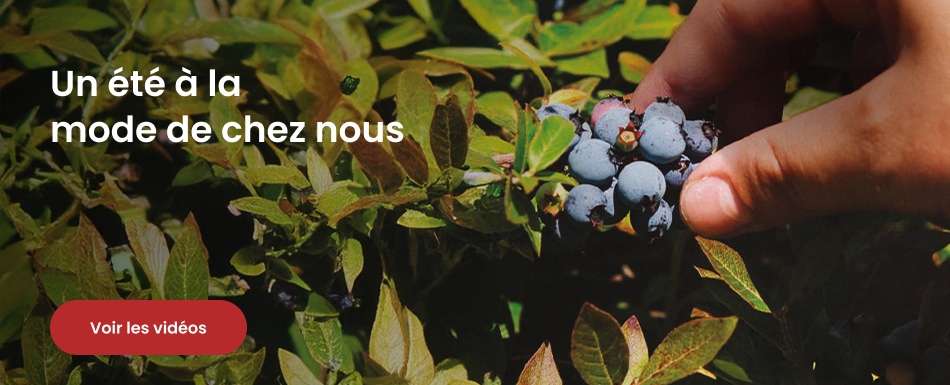 Un été à la mode de chez nous