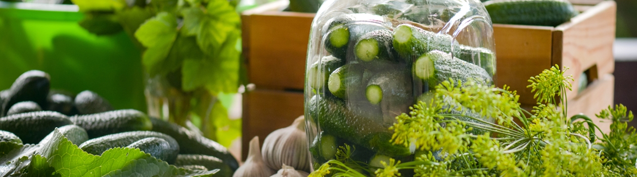 Your Guide to Canning in 5 Steps