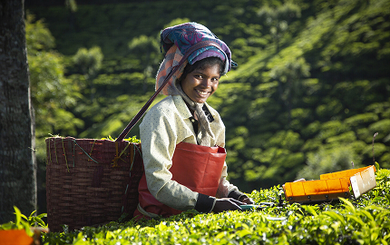 Soutien au commerce équitable