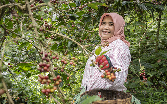 Identify Fair Trade Products