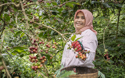 Identify Fair Trade Products