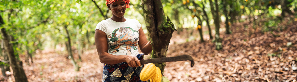 The fair trade certification