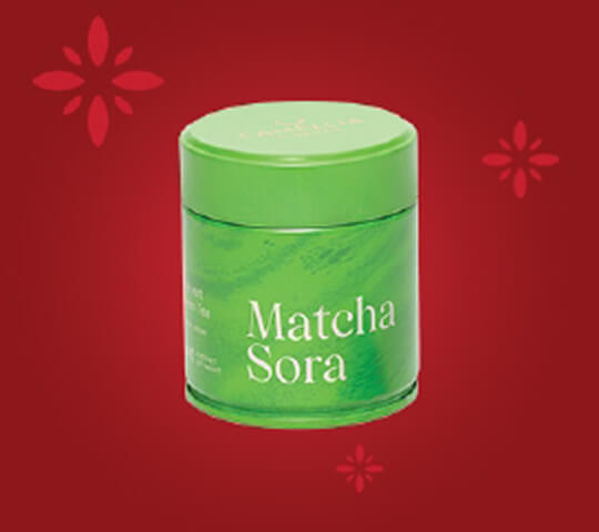 Matcha Sora